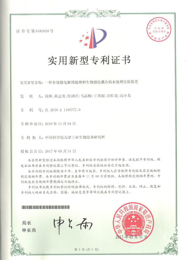 一种多效微电解预处理和生物强化耦合的水处理实验装置