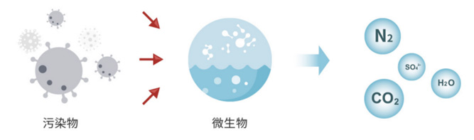 产品4详情